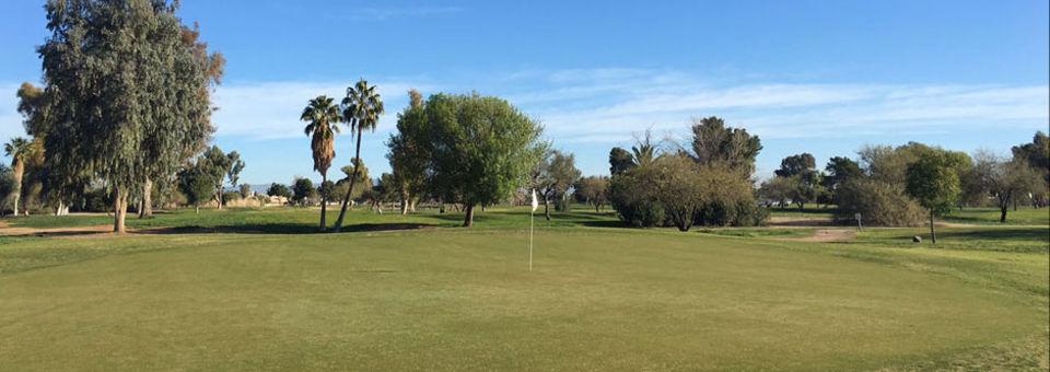 Paradise Valley Golf Course - photo 4