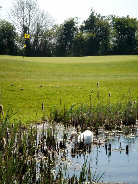 Navan - photo 1