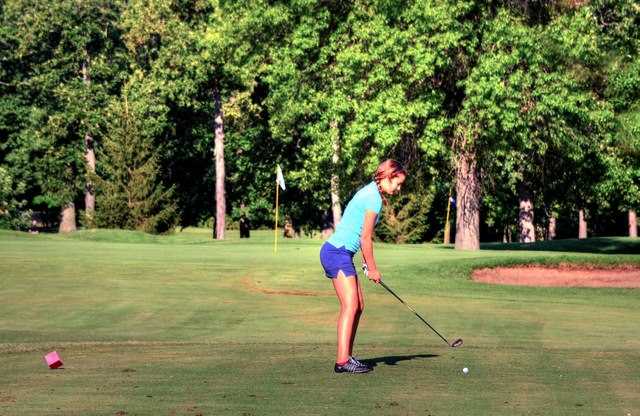 Foster Park Golf Course - photo 3