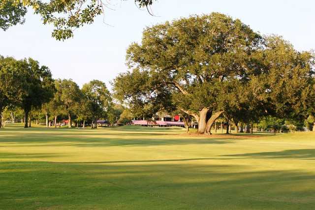 Pine Forest Country Club - photo 4