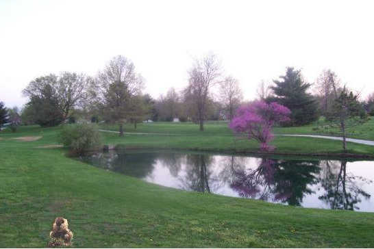 Westlake Country Club - photo 2