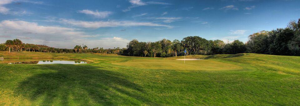 Heritage Harbour Golf Club (Bradenton, FL) - photo 6