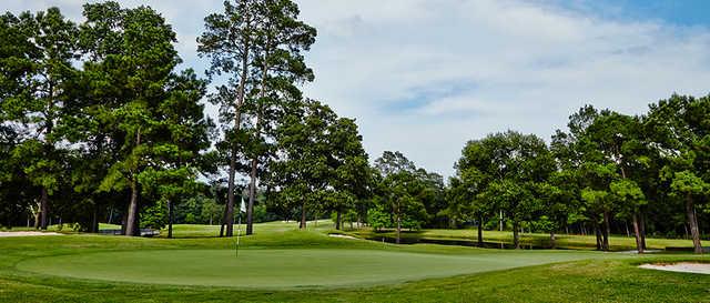 The Woodlands Country Club Palmer Course - photo 3