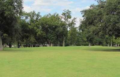 Belle Oaks - photo 2