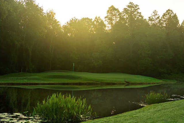 Tampa Palms Golf & Country Club - photo 2