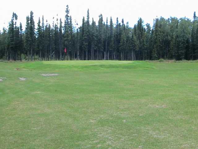 Bird Homestead Golf Course - photo 3