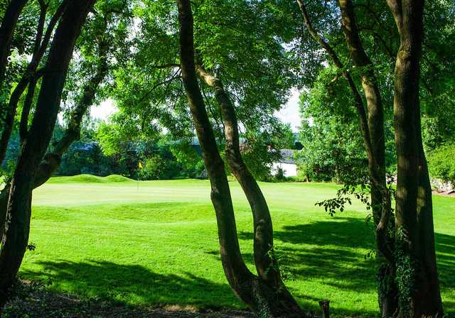Cork - photo 3