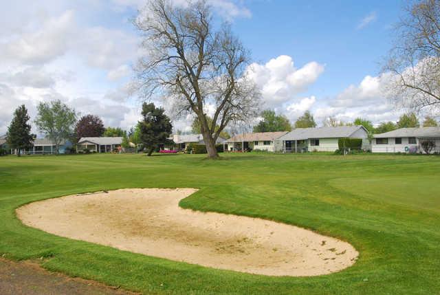 Senior Estates Golf & Country Club - photo 3