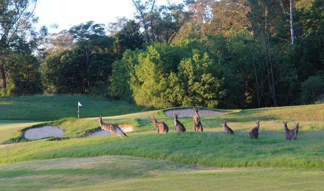 Riverside Oaks - Gangurru Course - photo 3