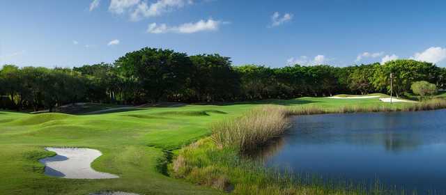 Wycliffe Golf & Country Club - photo 4