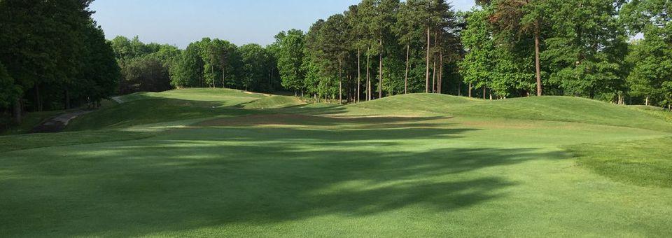 Forest Greens Golf Club - photo 7