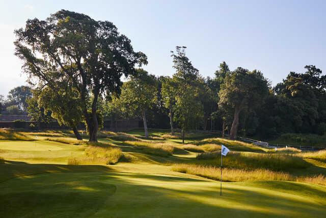 Golf at Goodwood - The Copse Course - photo 7