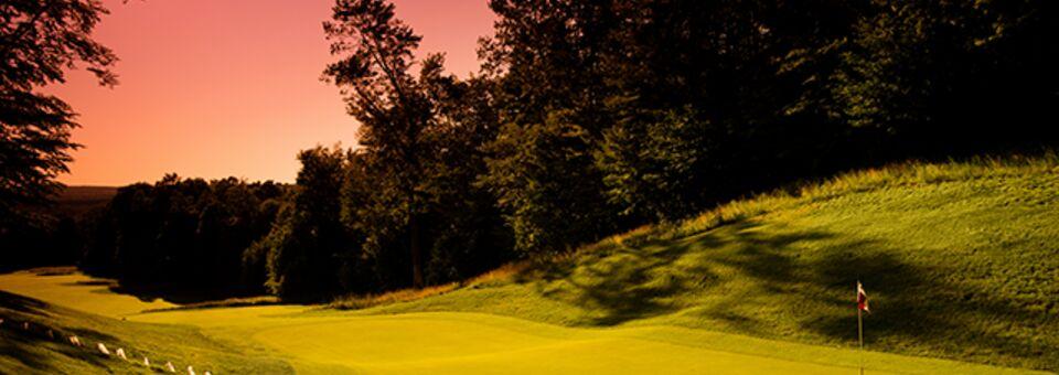 Treetops Resort - Signature Course - photo 4