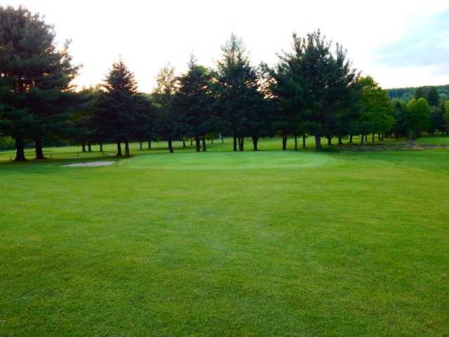 Chetremon Golf Course - photo 2