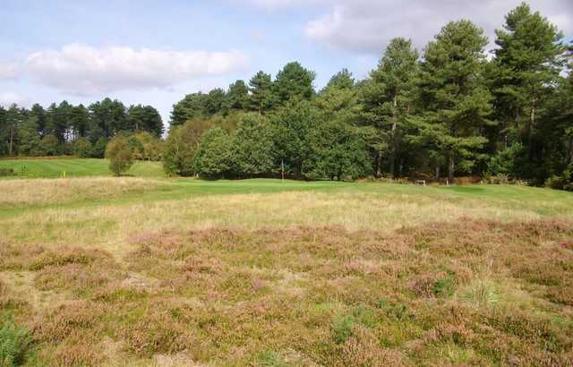 Moors Valley Golf Course - photo 3