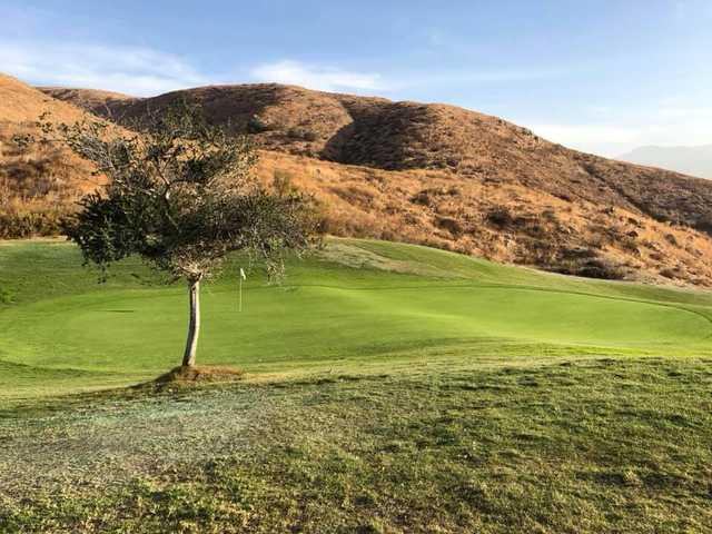 Dos Lagos Golf Course - photo 4