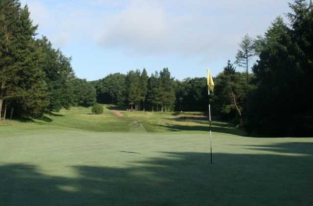 Bolton Old Links Golf Club - photo 8