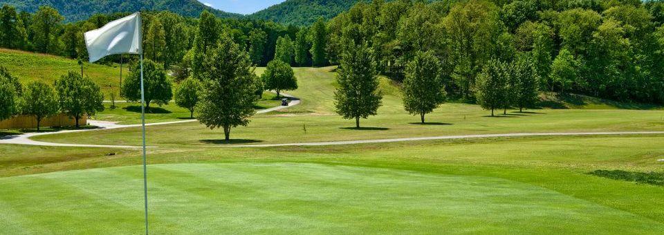 Wild Laurel Golf Course - photo 4