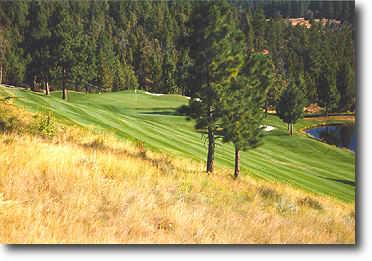 River's Edge Golf Course - photo 5