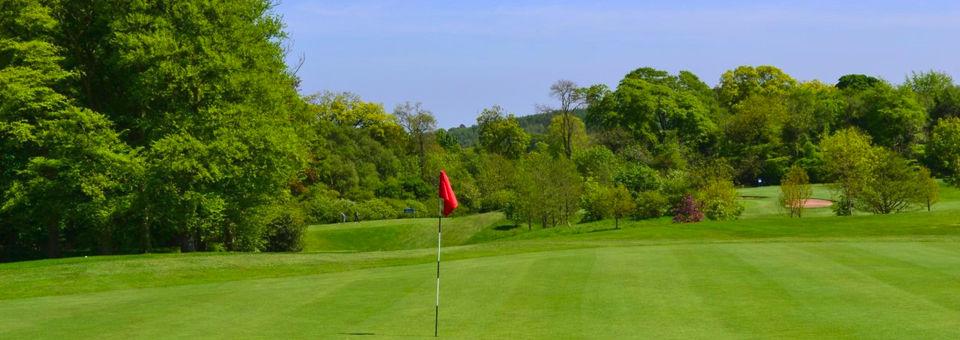 Blackwood Golf Centre - Temple Par 3 - photo 5