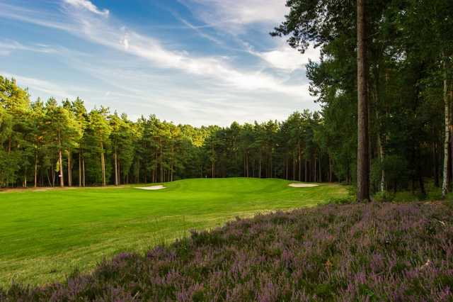 Pine Ridge Golf Club - photo 4