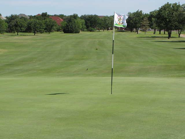 Lake Ridge Country Club - photo 3