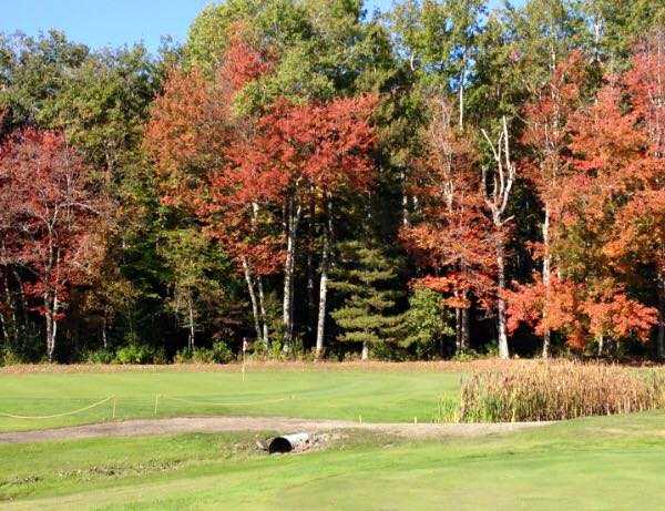 Northport Golf Club - photo 3