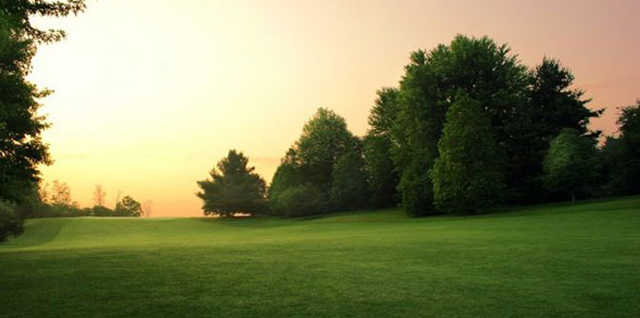 The Old Course - photo 4