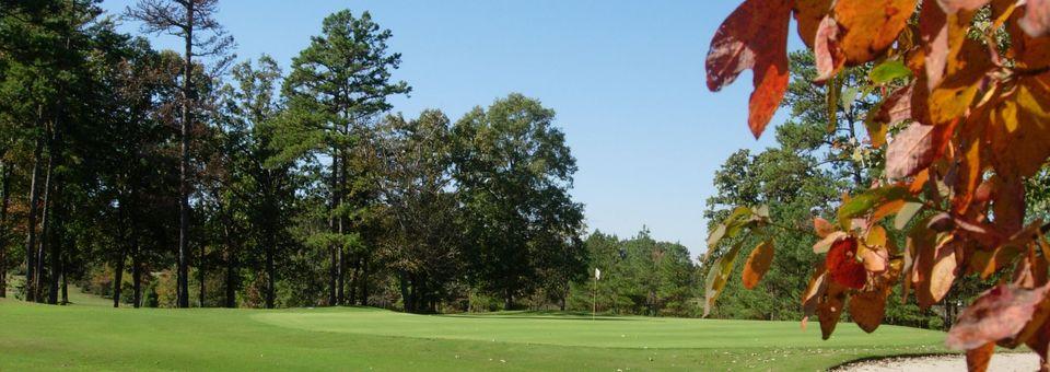 Dogwood Hills Golf Resort & Gardens - photo 5