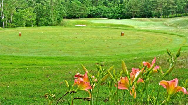 Yatesville Lake Golf Course (Eagle Ridge) - photo 2