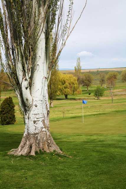 Sage Hills Golf and RV Resort - photo 4