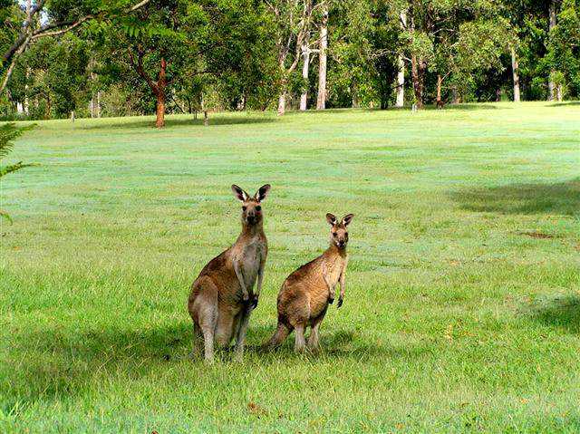 Grafton Golf Club - photo 2