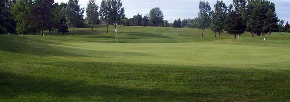 Pleasant Hills Golf Club - photo 4