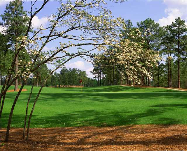 Pinehurst Resort and Country Club #8