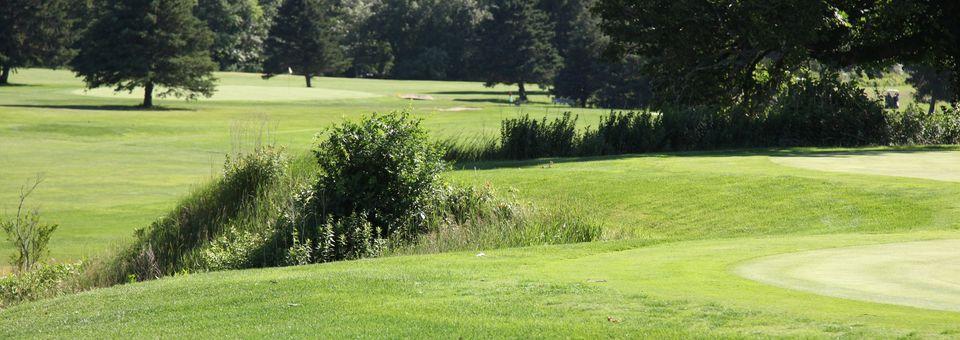 Laurel Lane Country Club - photo 4