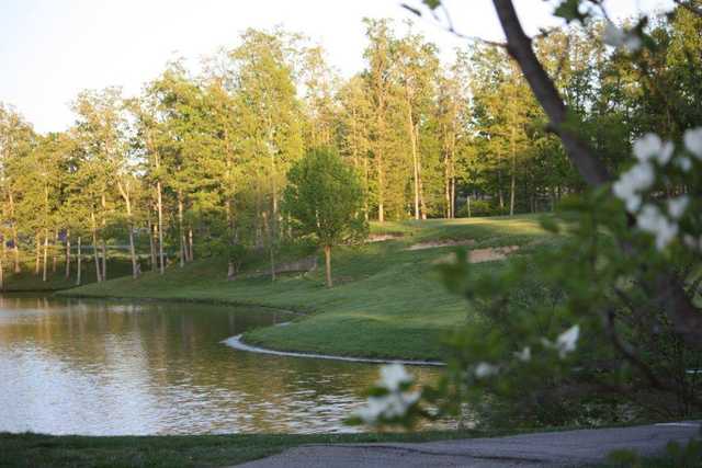 Country Lake Golf Club - photo 8
