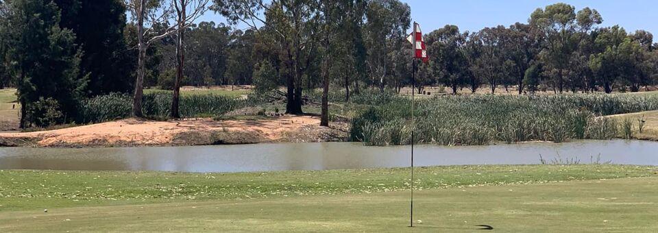 Tooleybuc Sporting Club Golf Course - photo 3