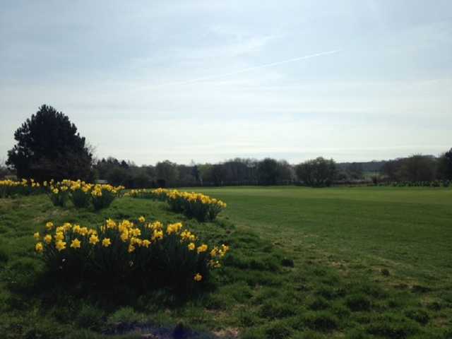 Etchinghill Golf Club - photo 8