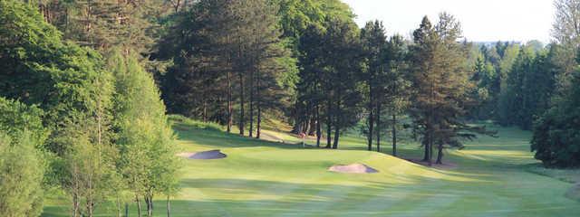 Douglas Park Golf Club - photo 8