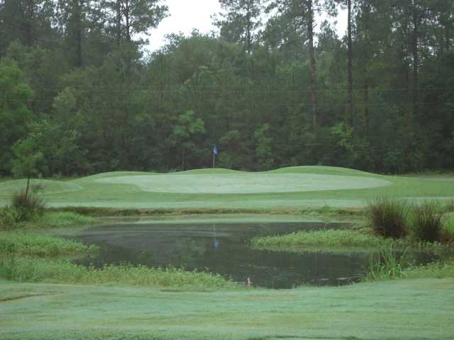 Abita Springs Golf & Country Club - photo 3