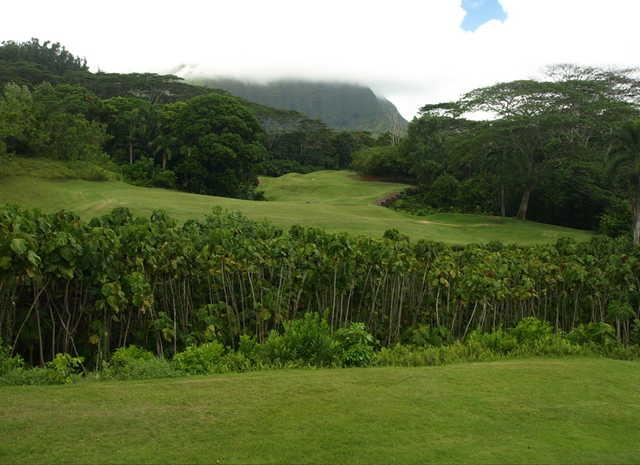 Royal Hawaiian Golf Club - photo 5