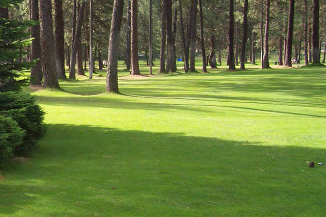 Pine Acres Par 3 Golf Course - photo 2