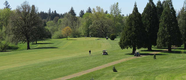 The Nines Golf Course - photo 4