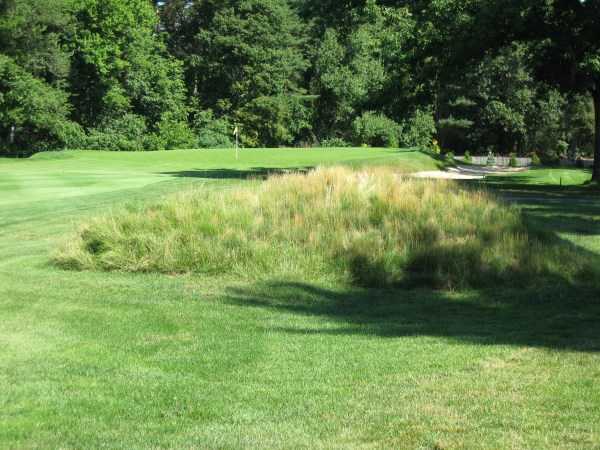 Blue Hill Country Club - photo 2