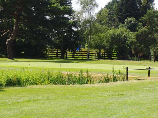 Wexham Park Golf Centre - Blue (main) Course - photo 1