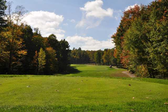 Atkinson Country Club & Resort - photo 3