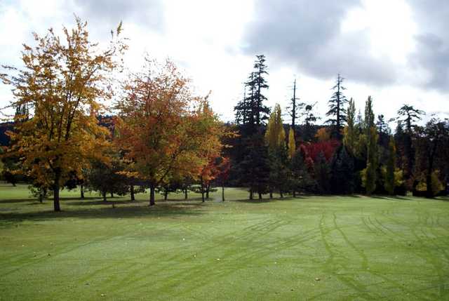 Ardmore Golf Course - photo 2