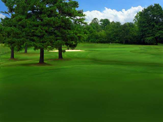 River Bend YMCA Golf Club - photo 4