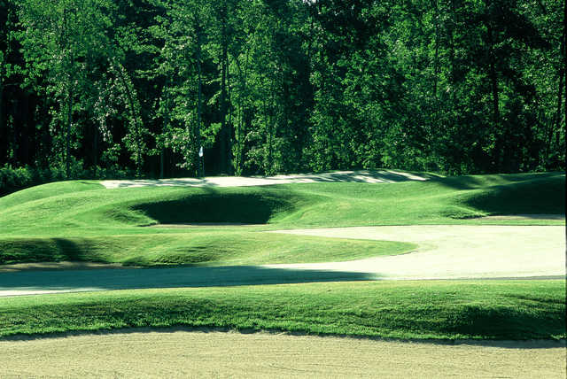 Blue Mash Golf Course - photo 4