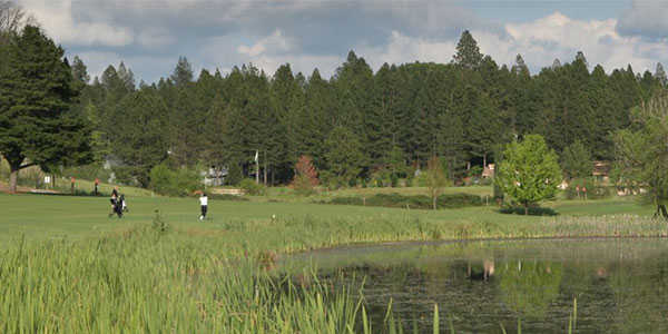 Alta Sierra Country Club - photo 3